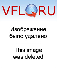 12915363.jpg